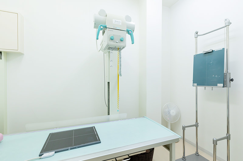 レントゲン検査