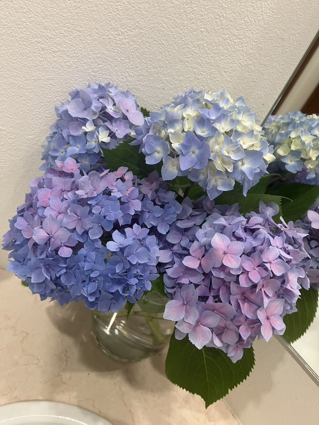紫陽花(あじさい)
