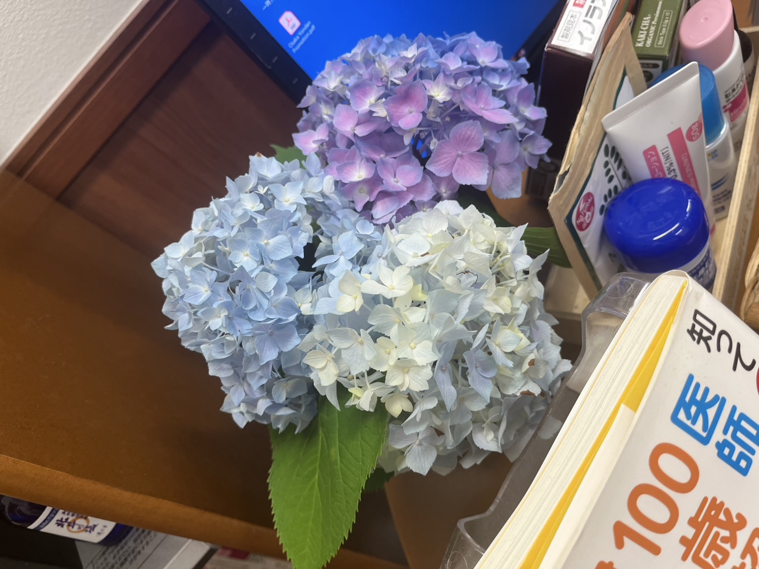 紫陽花(あじさい)