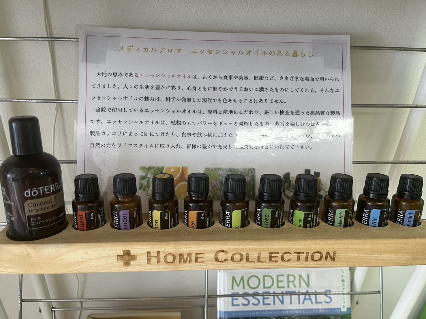 紫陽花(あじさい)