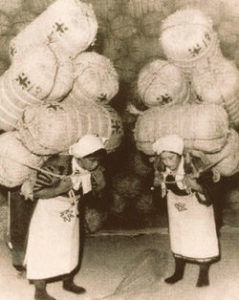 身体のトリセツ（筋肉より骨）